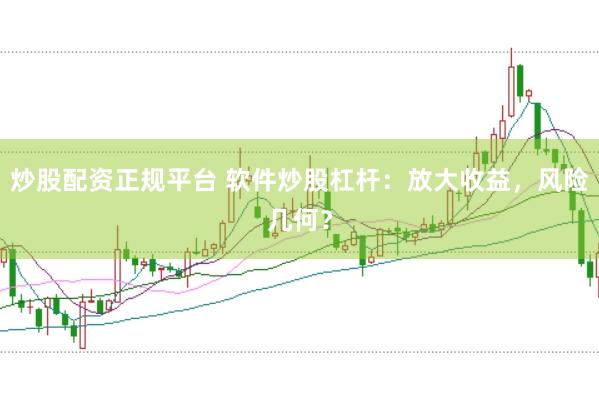 炒股配资正规平台 软件炒股杠杆：放大收益，风险几何？