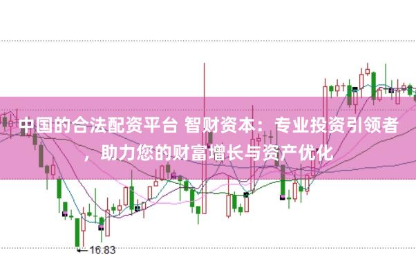 中国的合法配资平台 智财资本：专业投资引领者，助力您的财富增长与资产优化
