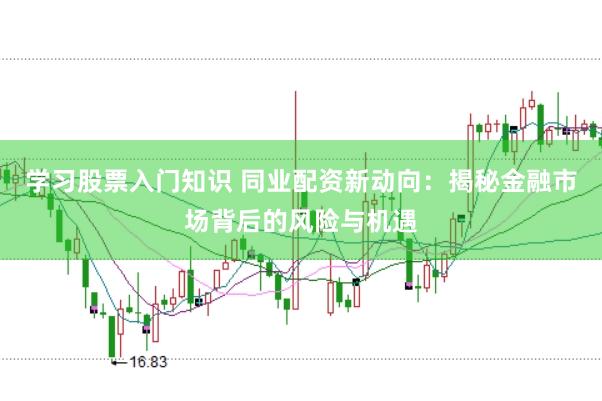 学习股票入门知识 同业配资新动向：揭秘金融市场背后的风险与机遇