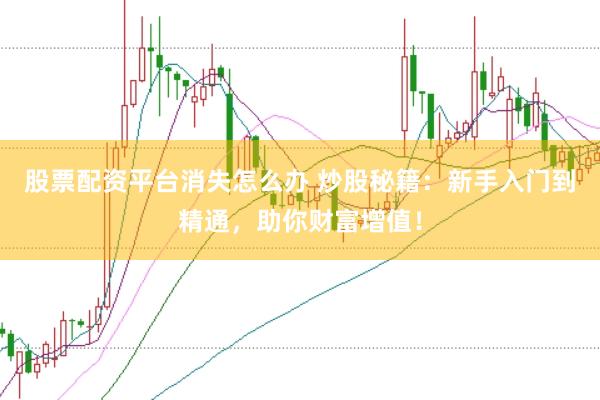 股票配资平台消失怎么办 炒股秘籍：新手入门到精通，助你财富增值！