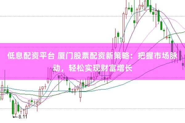 低息配资平台 厦门股票配资新策略：把握市场脉动，轻松实现财富增长