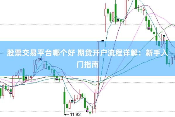 股票交易平台哪个好 期货开户流程详解：新手入门指南