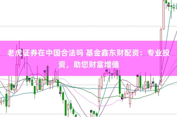 老虎证券在中国合法吗 基金鑫东财配资：专业投资，助您财富增值