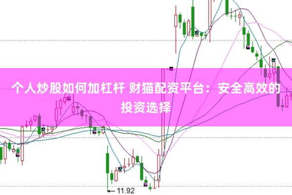 个人炒股如何加杠杆 财猫配资平台：安全高效的投资选择