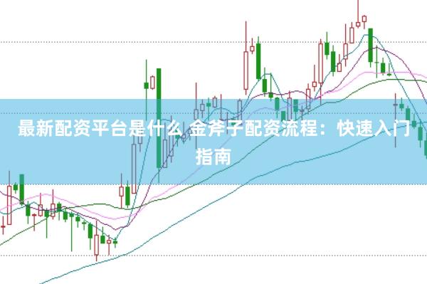 最新配资平台是什么 金斧子配资流程：快速入门指南