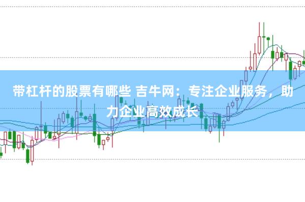 带杠杆的股票有哪些 吉牛网：专注企业服务，助力企业高效成长