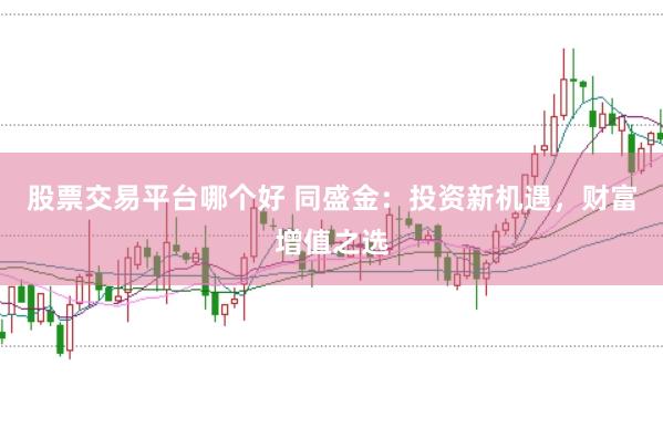 股票交易平台哪个好 同盛金：投资新机遇，财富增值之选