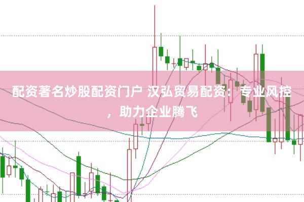 配资著名炒股配资门户 汉弘贸易配资：专业风控，助力企业腾飞