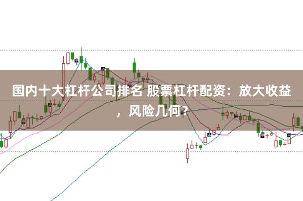 国内十大杠杆公司排名 股票杠杆配资：放大收益，风险几何？