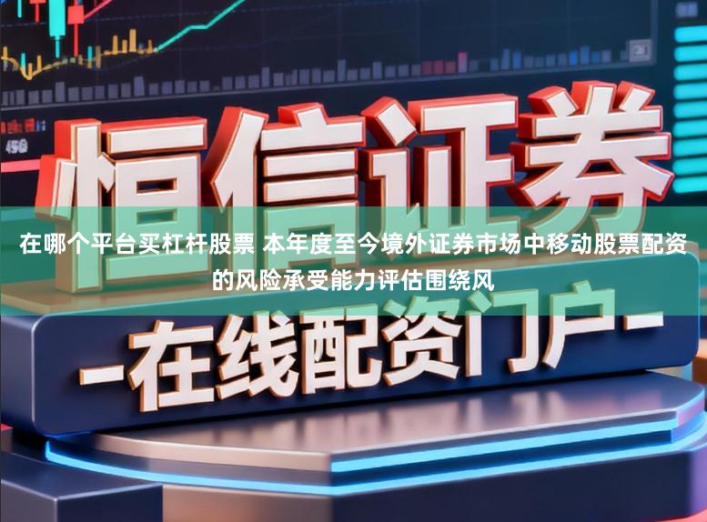 在哪个平台买杠杆股票 本年度至今境外证券市场中移动股票配资的风险承受能力评估围绕风